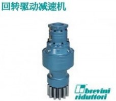 Brevini布雷維尼回轉(zhuǎn)驅(qū)動減速機